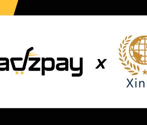 wadzpay xinfin blockchain collaboration