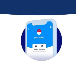 Luno direct deposit feature
