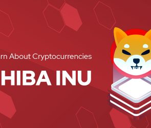a picture of the shiba inu coin