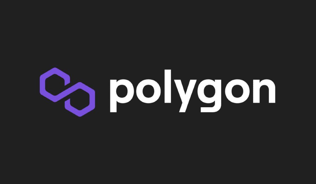polygon matic metamask blockchain networks
