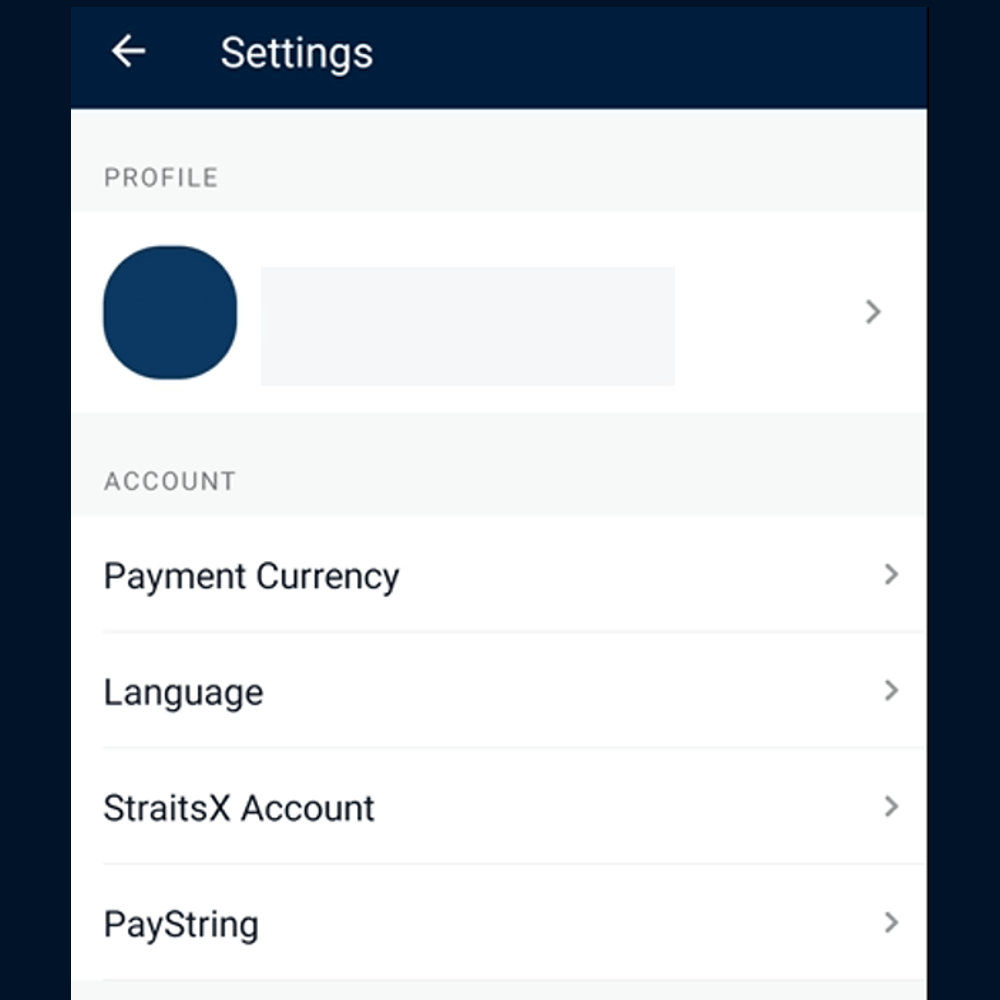 Step #4: Select the StraitsX account option.
