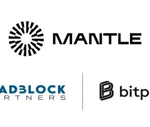 leadblock-mantle-partnership