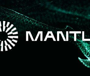 mantle-launch-scouts-programme-with-1m-token-grant