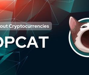 what-is-popcat