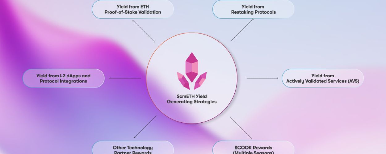 meth-protocol-expands-product-line-with-cmeth-and-cook-tokens