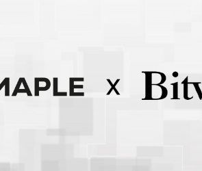 bitwise-makes-first-institutional-defi-allocation-via-maple-finance
