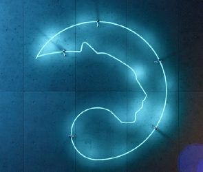 panther-protocol-launch-mainnet-beta-for-defi-testing-on-polygon