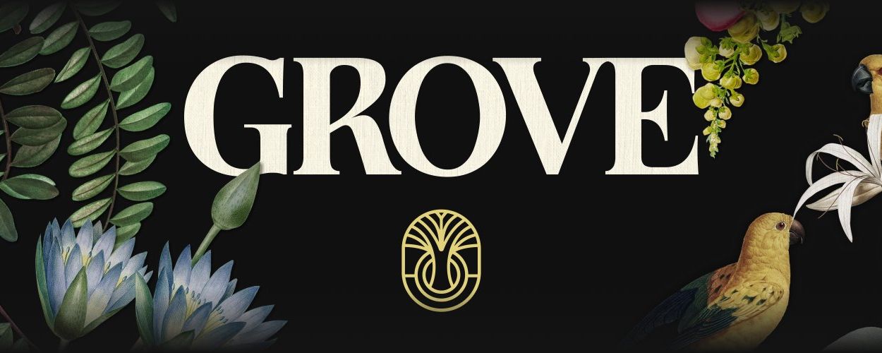 grove-launches-institutional-credit-infrastructure-defi-protocol