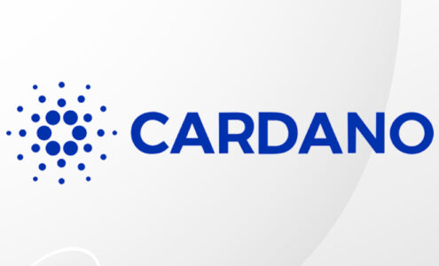 cardano-decentralisation-core-infrastructure