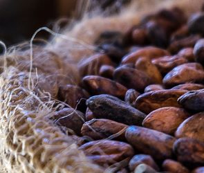 hashgraph-group-merck-pwc-pilot-cocoa-traceability-solution