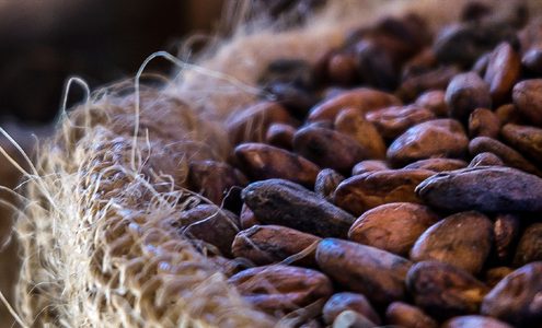 hashgraph-group-merck-pwc-pilot-cocoa-traceability-solution