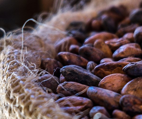 hashgraph-group-merck-pwc-pilot-cocoa-traceability-solution