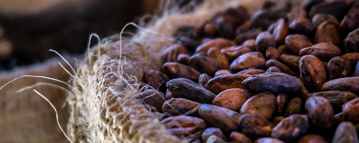 hashgraph-group-merck-pwc-pilot-cocoa-traceability-solution