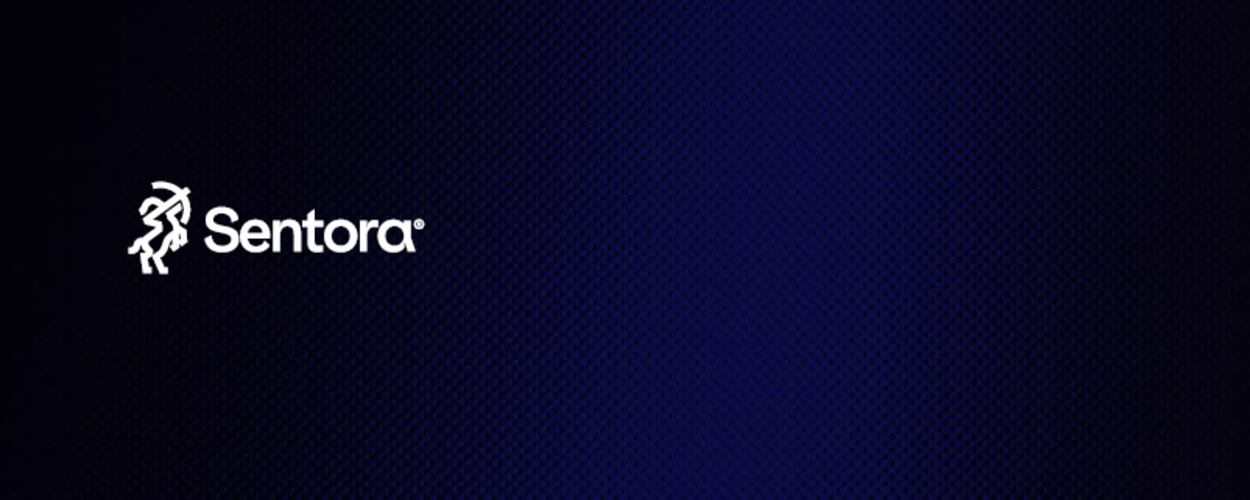 sentora-financial-institutions-building-own-on-chain-infrastructure